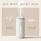 Asetics Dew Mini Facial Humidifier